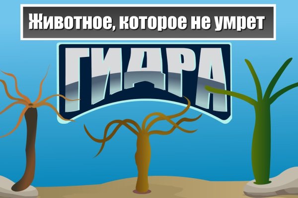 Закладки героина